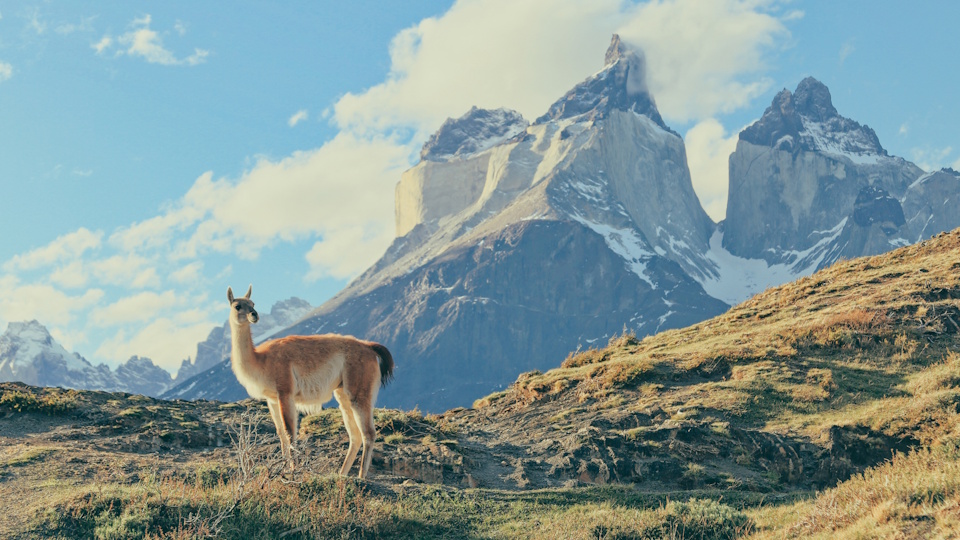 Patagonia Landscapes